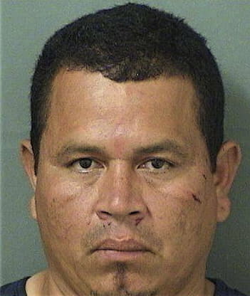 Luis Veratudelamartinez, - Palm Beach County, FL 